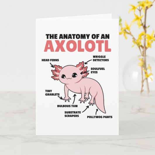 Anatomie eines Axolotl Karte (Gelbe Blume)