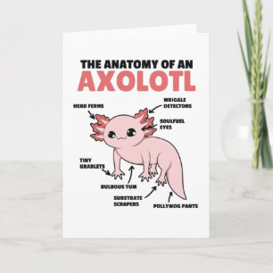 Anatomie eines Axolotl Karte