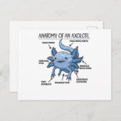 Anatomie eines Axolotl Postkarte (Vorne/Hinten)