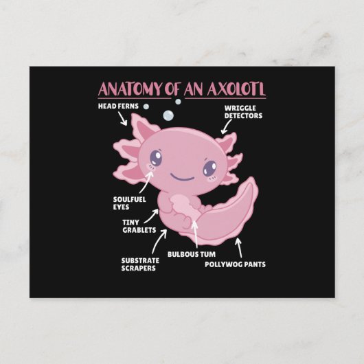 Anatomie eines Axolotl Postkarte (Vorderseite)