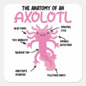 Anatomie eines Axolotl Quadratischer Aufkleber (Vorderseite)