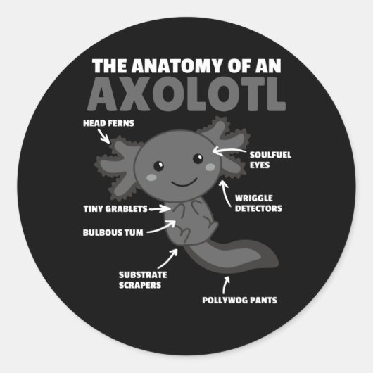 Anatomie eines Axolotl Runder Aufkleber (Vorderseite)