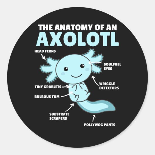Anatomie eines Axolotl Runder Aufkleber (Vorderseite)
