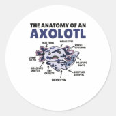 Anatomie eines Axolotl Runder Aufkleber (Vorderseite)