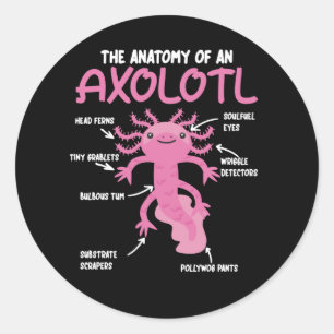 Anatomie eines Axolotl Runder Aufkleber