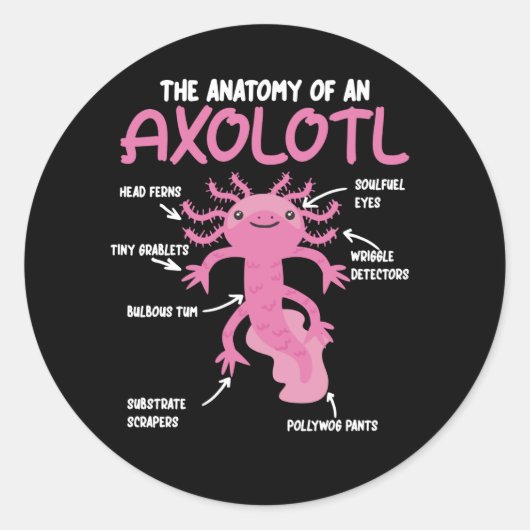 Anatomie eines Axolotl Runder Aufkleber (Vorderseite)