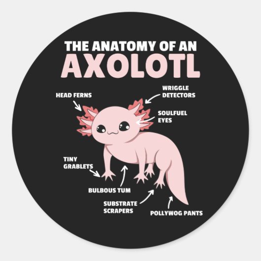 Anatomie eines Axolotl Runder Aufkleber (Vorderseite)