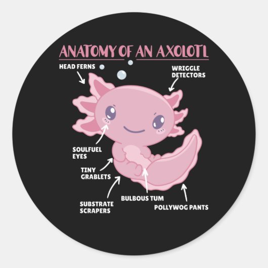 Anatomie eines Axolotl Runder Aufkleber (Vorderseite)