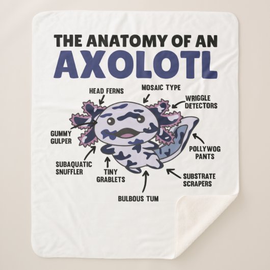Anatomie eines Axolotl Sherpadecke (Vorderseite)