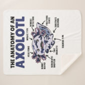 Anatomie eines Axolotl Sherpadecke (Vorderseite (Horizontal))