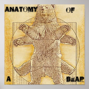 Anatomie eines Bärn-Plakats Poster