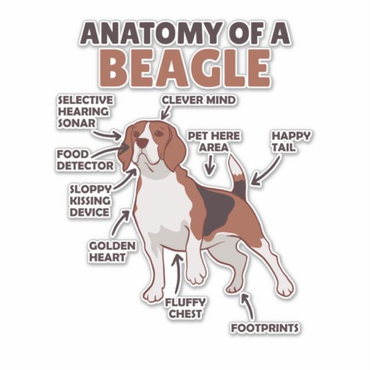 Anatomie eines Beagle Niedliche Hunde Funny Dog Be Aufkleber (Vorderseite)