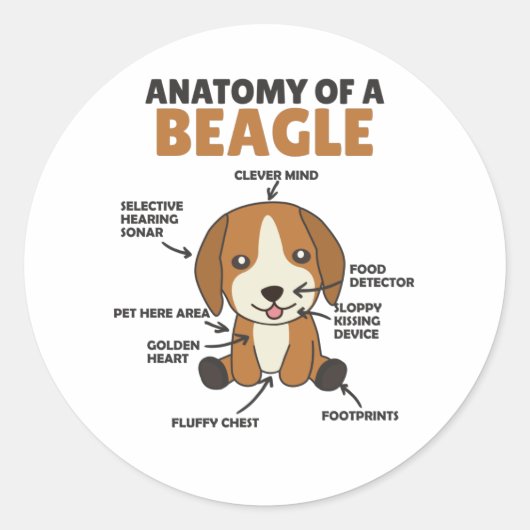 Anatomie eines Beagle Niedliche Hunde Welpe Runder Aufkleber (Vorderseite)
