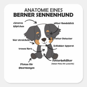 Anatomie eines Berner Hundes Niedliche Hunde Welpe Quadratischer Aufkleber