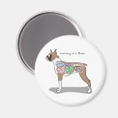 Anatomie eines Boxer-Hundes Magnet (Vorderseite/Rückseite)