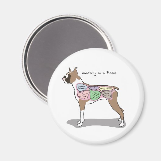 Anatomie eines Boxer-Hundes Magnet (Vorderseite/Rückseite)