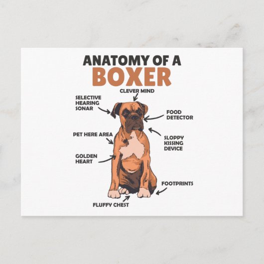 Anatomie eines Boxer Sweet Dog Welpen Postkarte (Vorderseite)