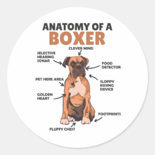 Anatomie eines Boxer Sweet Dog Welpen Runder Aufkleber