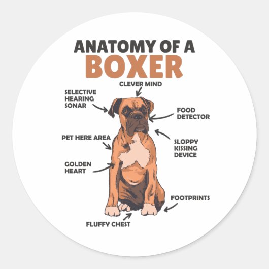 Anatomie eines Boxer Sweet Dog Welpen Runder Aufkleber (Vorderseite)