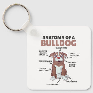 Anatomie eines Bulldoggen Hundes Schlüsselanhänger
