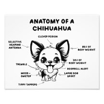 Anatomie eines Chihuahua Funny Dog Print