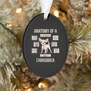 Anatomie eines Chihuahua-Funny-Welpengeschenks Ornament