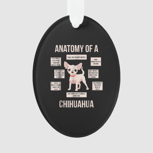 Anatomie eines Chihuahua-Funny-Welpengeschenks Ornament (Vorderseite)