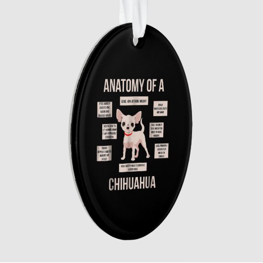 Anatomie eines Chihuahua-Funny-Welpengeschenks Ornament (Vorderseite)