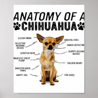 Anatomie eines chihuahua Hundes Liebhaber Mann Poster