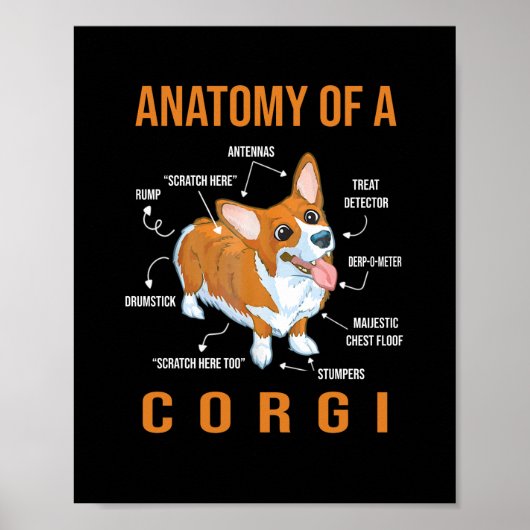 Anatomie eines Corgi Funny Dog Poster (Vorne)