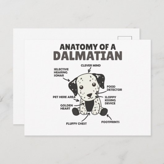 Anatomie eines Dalmatiners süße Hunde Funny Puppy Postkarte (Vorne/Hinten)
