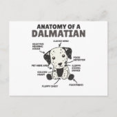 Anatomie eines Dalmatiners süße Hunde Funny Puppy Postkarte (Vorderseite)