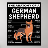 Anatomie eines deutschen Schäferhundes Lover Poster (Vorne)