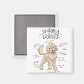 Anatomie eines Doodle Hundes Magnet (Vorderseite/Rückseite)