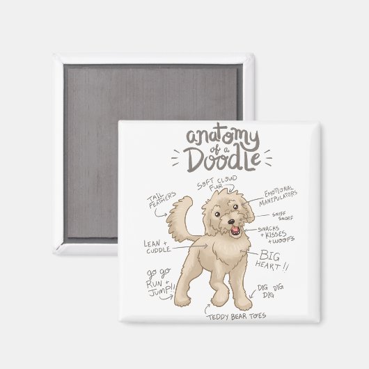 Anatomie eines Doodle Hundes Magnet (Vorderseite/Rückseite)