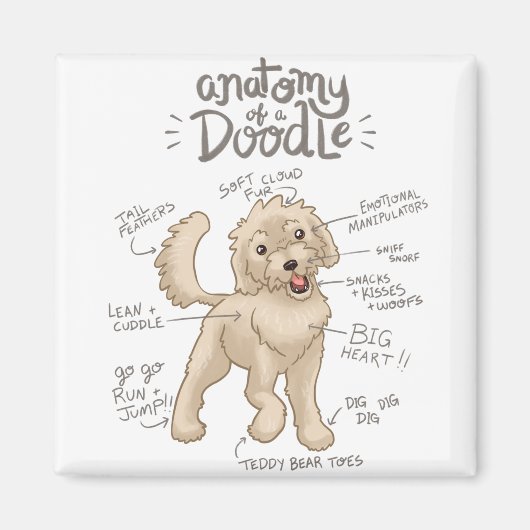 Anatomie eines Doodle Hundes Magnet (Vorne)