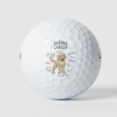 Anatomie eines Doodles Golfball (Vorderseite)