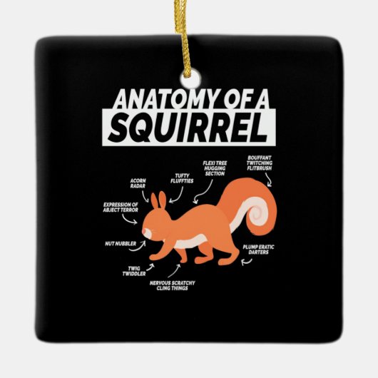 Anatomie eines Eichhörnchens Keramikornament (Vorderseite)
