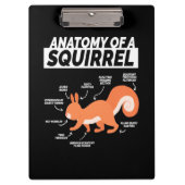 Anatomie eines Eichhörnchens Klemmbrett (Vorderseite)