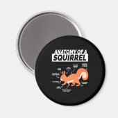 Anatomie eines Eichhörnchens Magnet (Vorderseite/Rückseite)