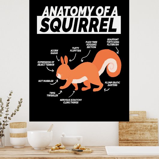 Anatomie eines Eichhörnchens Poster (Küche)