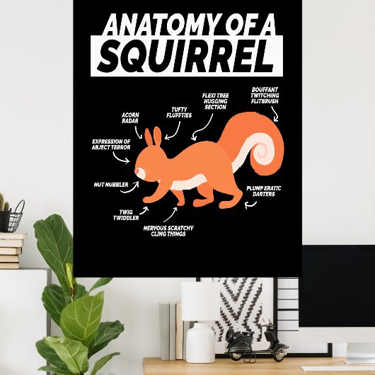 Anatomie eines Eichhörnchens Poster (Heimbüro)
