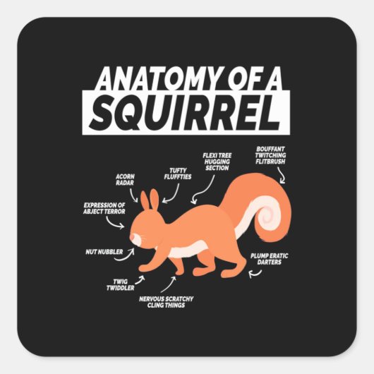 Anatomie eines Eichhörnchens Quadratischer Aufkleber (Vorderseite)