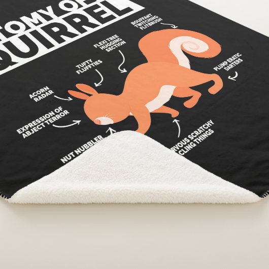 Anatomie eines Eichhörnchens Sherpadecke (3/4)