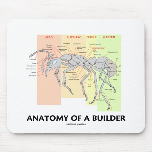 Anatomie eines Erbauers Mousepad (Vorne)