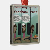 Anatomie eines Facebook Post Funny Silbernes Ornament (Rechts)