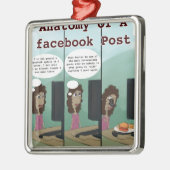 Anatomie eines Facebook Post Funny Silbernes Ornament (Links)