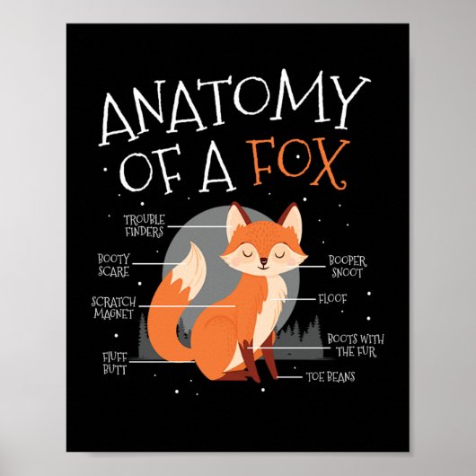 Anatomie eines Fox-Niedlich Fox-Forest Poster (Vorne)