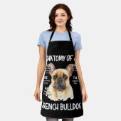 Anatomie eines französischen Bulldoggen für Hundel Schürze (Getragen)