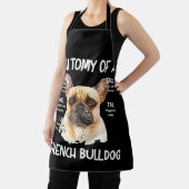 Anatomie eines französischen Bulldoggen für Hundel Schürze (InSitu)